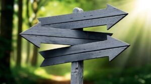 Lee más sobre el artículo TALLER TOMA DE DECISIONES