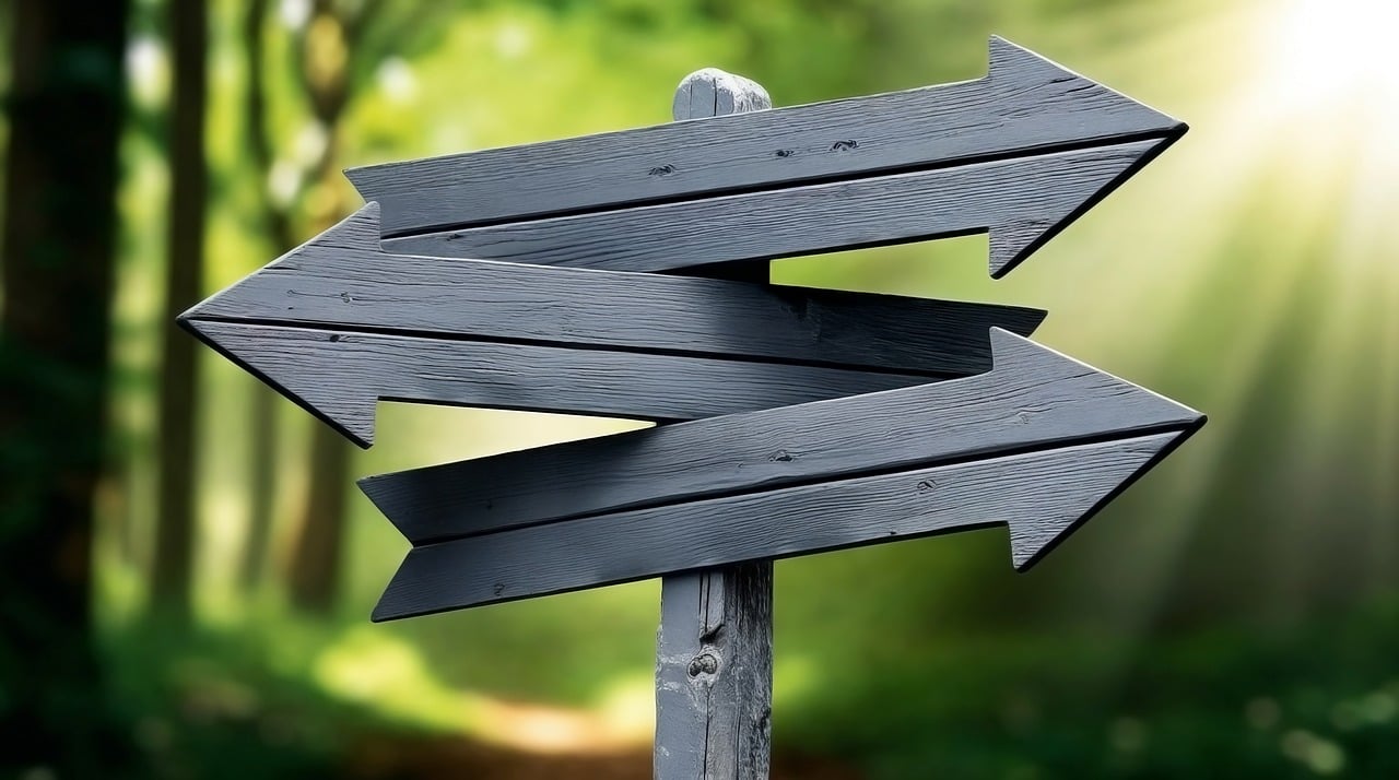 En este momento estás viendo TALLER TOMA DE DECISIONES